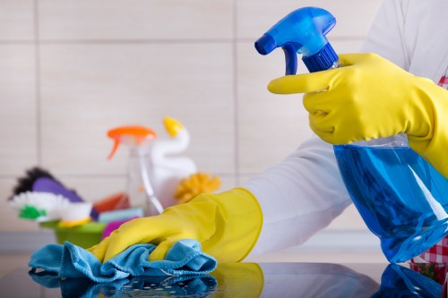 Domestic cleaning supplies arranged for kitchen and bathroom care