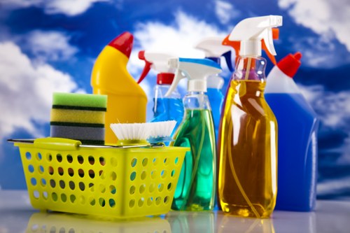 House cleaning routine in a modern living room