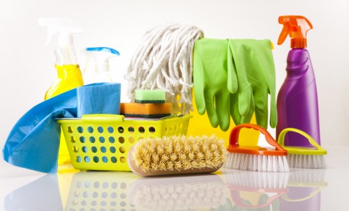 Professional Croydon cleaners working in a home setting