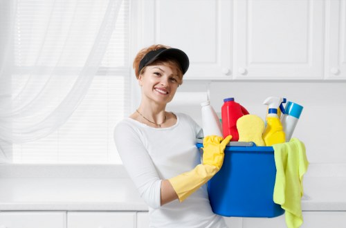 Weekly domestic cleaning routine with vacuuming and dusting