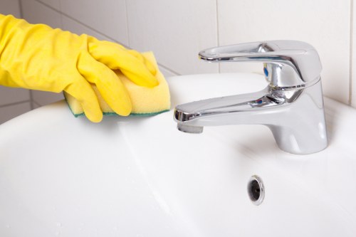 Eco-friendly house cleaning supplies on a shelf