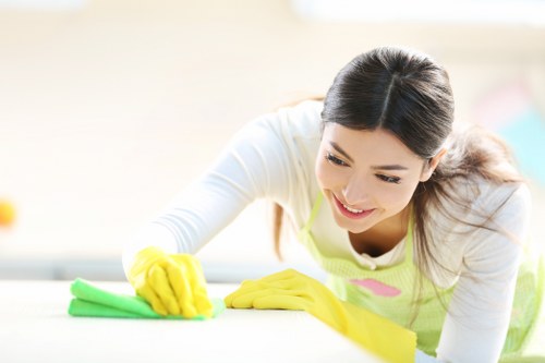 Smart and sustainable home improvements with efficient features