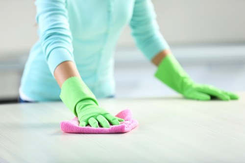 Cleaner preparing a bathroom for end of tenancy inspection